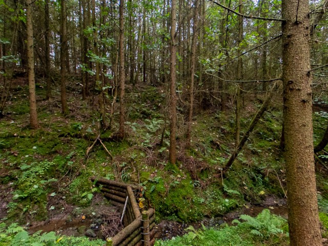 Flimby Debris Dams NFM. Theta Z1