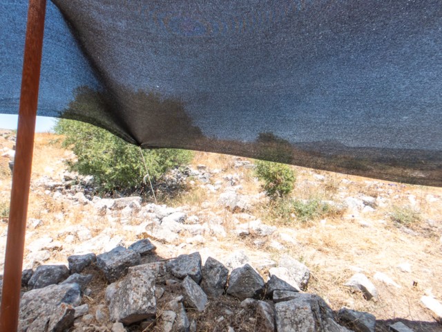 Noam's site. Theta Z1